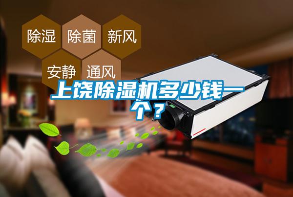 上饒除濕機多少錢一個？