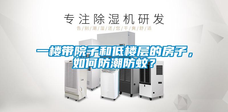 一樓帶院子和低樓層的房子，如何防潮防蚊？