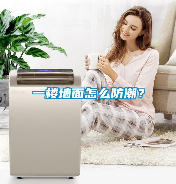 一樓墻面怎么防潮？