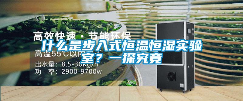 什么是步入式恒溫恒濕實(shí)驗(yàn)室？一探究竟
