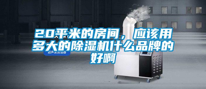 20平米的房間，應(yīng)該用多大的除濕機(jī)什么品牌的好啊