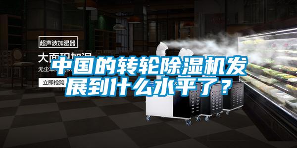 中國的轉(zhuǎn)輪除濕機(jī)發(fā)展到什么水平了？
