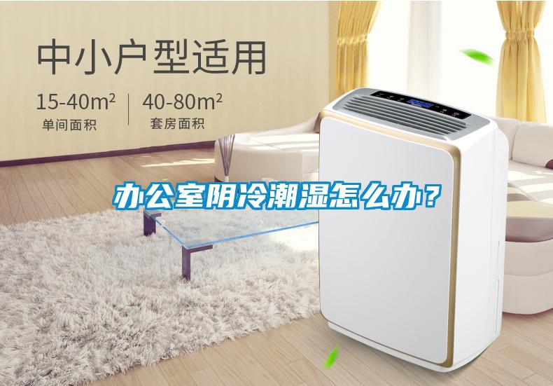 辦公室陰冷潮濕怎么辦？