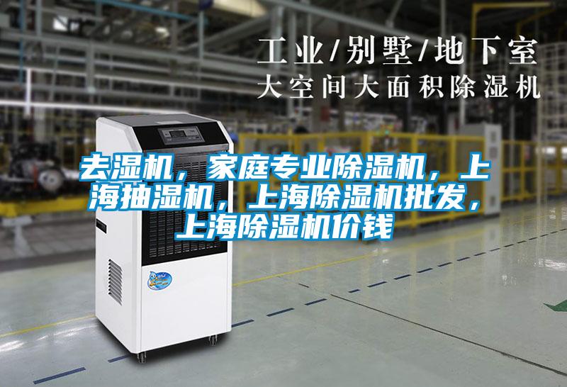 去濕機，家庭專業(yè)除濕機，上海抽濕機，上海除濕機批發(fā)，上海除濕機價錢