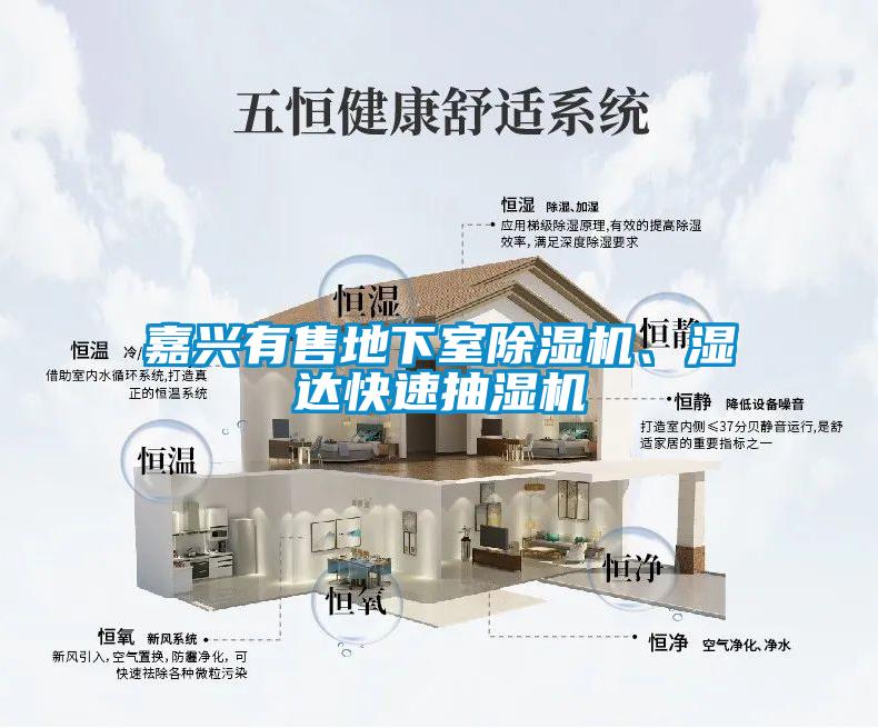 嘉興有售地下室除濕機(jī)、濕達(dá)快速抽濕機(jī)