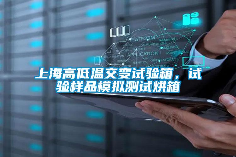 上海高低溫交變?cè)囼?yàn)箱，試驗(yàn)樣品模擬測(cè)試烘箱