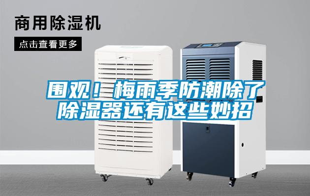圍觀！梅雨季防潮除了除濕器還有這些妙招