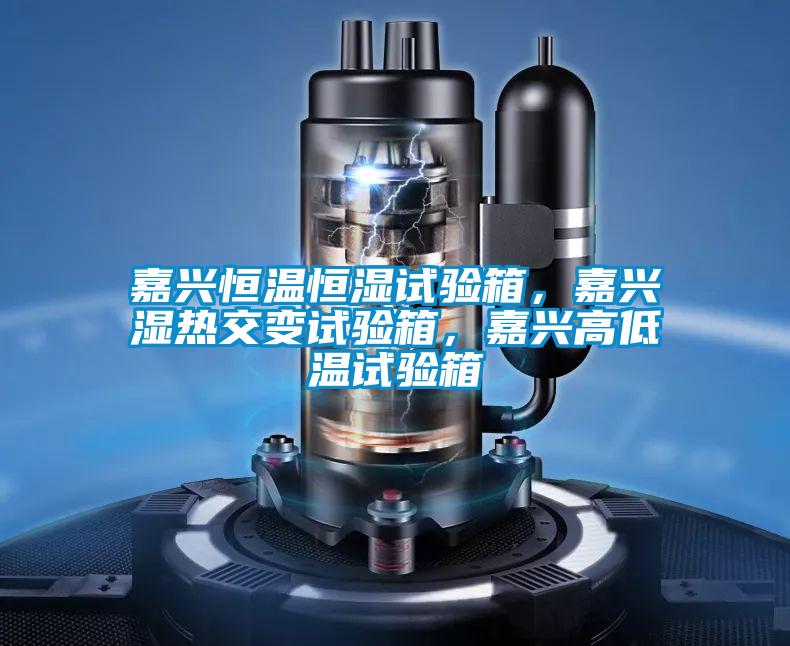 嘉興恒溫恒濕試驗(yàn)箱，嘉興濕熱交變?cè)囼?yàn)箱，嘉興高低溫試驗(yàn)箱