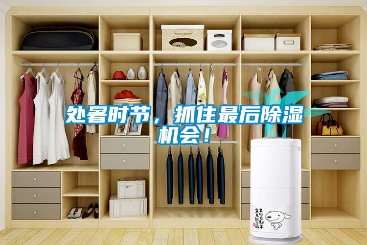 處暑時節(jié)，抓住最后除濕機會！
