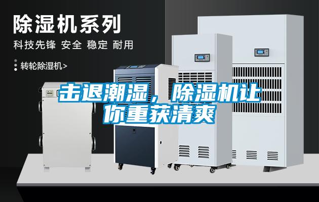 擊退潮濕，除濕機(jī)讓你重獲清爽