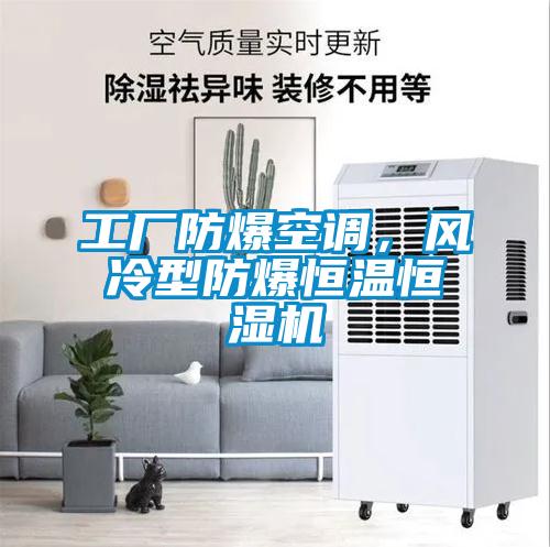 工廠防爆空調(diào)，風冷型防爆恒溫恒濕機
