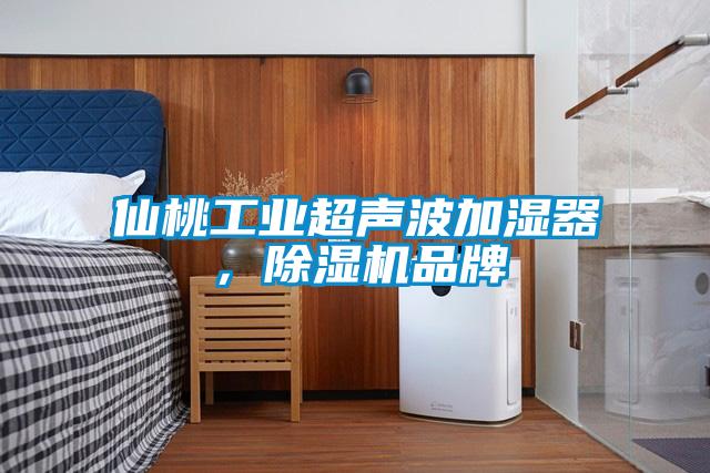仙桃工業(yè)超聲波加濕器，除濕機品牌