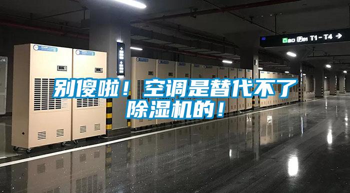 別傻啦！空調是替代不了除濕機的！