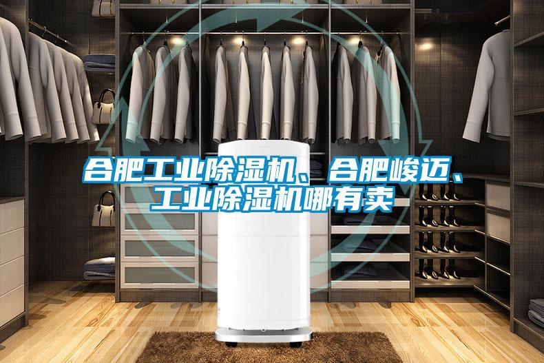 合肥工業(yè)除濕機(jī)、合肥峻邁、工業(yè)除濕機(jī)哪有賣