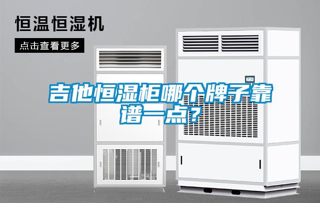 吉他恒濕柜哪個(gè)牌子靠譜一點(diǎn)？