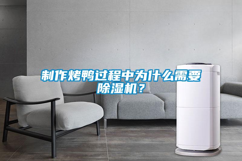 制作烤鴨過(guò)程中為什么需要除濕機(jī)？