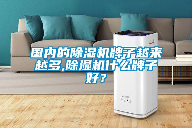 國(guó)內(nèi)的除濕機(jī)牌子越來越多,除濕機(jī)什么牌子好？