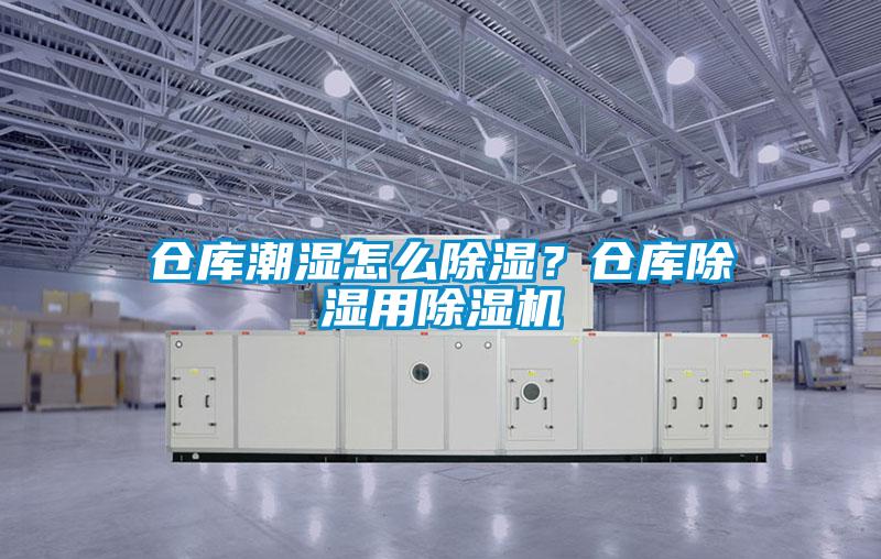倉庫潮濕怎么除濕？倉庫除濕用除濕機(jī)