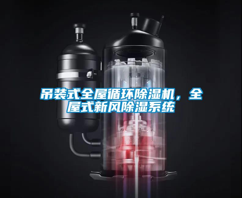 吊裝式全屋循環(huán)除濕機(jī)，全屋式新風(fēng)除濕系統(tǒng)