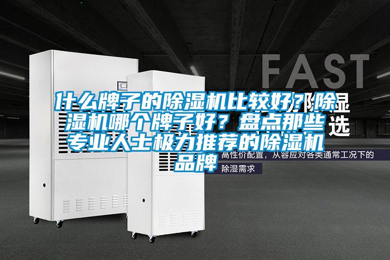 什么牌子的除濕機(jī)比較好？除濕機(jī)哪個(gè)牌子好？盤點(diǎn)那些專業(yè)人士極力推薦的除濕機(jī)品牌