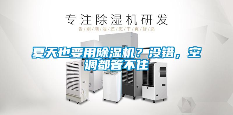 夏天也要用除濕機(jī)？沒錯，空調(diào)都管不住