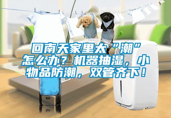 回南天家里太“潮”怎么辦？機器抽濕，小物品防潮，雙管齊下！
