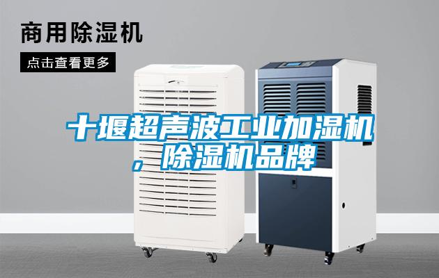 十堰超聲波工業(yè)加濕機，除濕機品牌