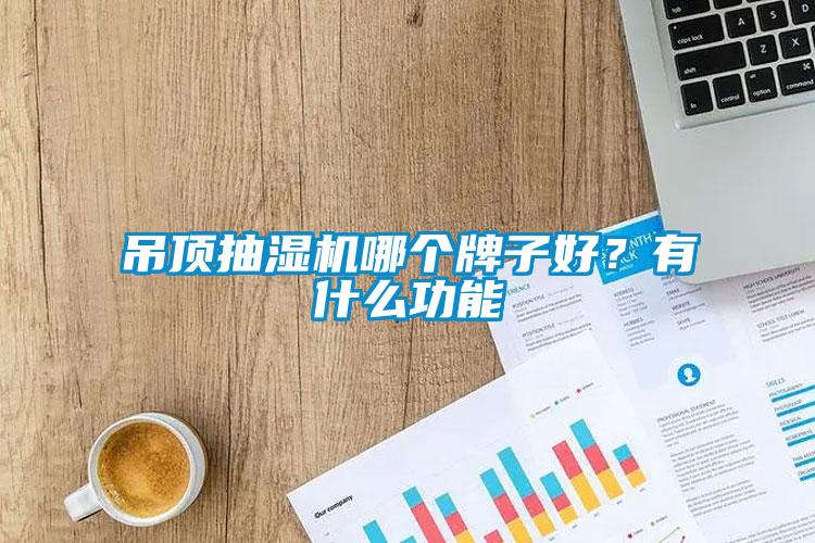 吊頂抽濕機哪個牌子好？有什么功能