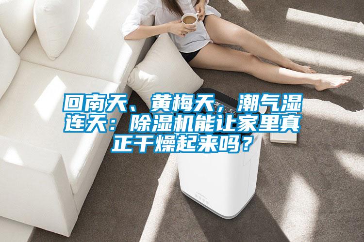 回南天、黃梅天，潮氣濕連天：除濕機(jī)能讓家里真正干燥起來嗎？