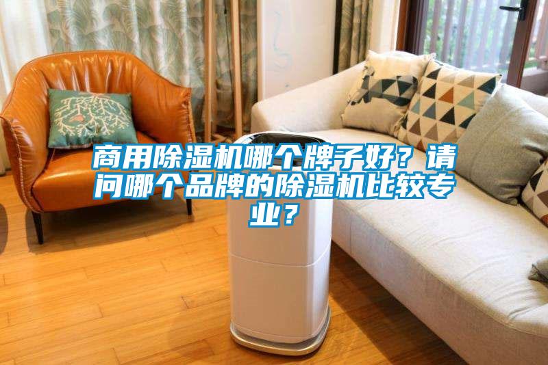 商用除濕機(jī)哪個(gè)牌子好？請問哪個(gè)品牌的除濕機(jī)比較專業(yè)？