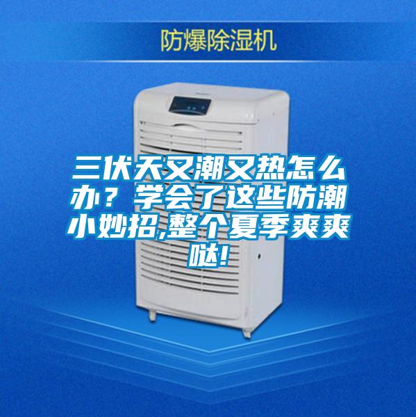 三伏天又潮又熱怎么辦？學會了這些防潮小妙招,整個夏季爽爽噠!