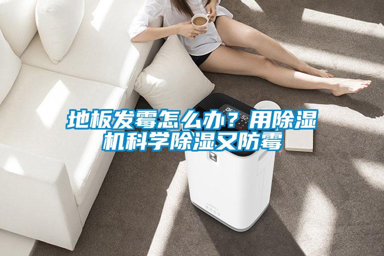 地板發(fā)霉怎么辦？用除濕機(jī)科學(xué)除濕又防霉