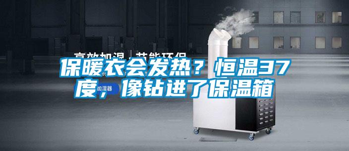 保暖衣會發(fā)熱？恒溫37度，像鉆進了保溫箱