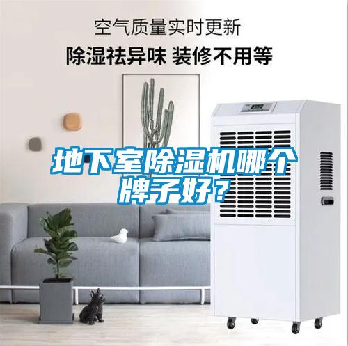 地下室除濕機(jī)哪個牌子好？