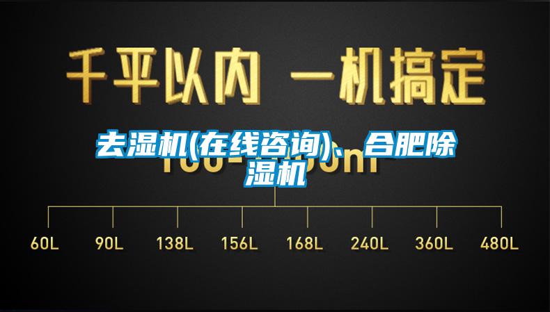 去濕機(jī)(在線咨詢)、合肥除濕機(jī)