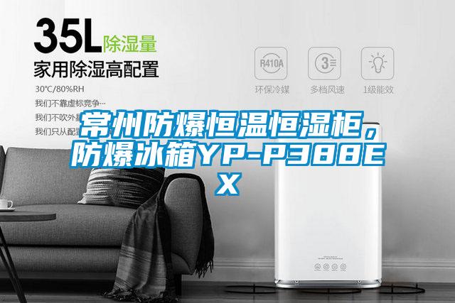 常州防爆恒溫恒濕柜，防爆冰箱YP-P388EX