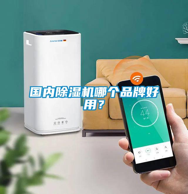 國內(nèi)除濕機(jī)哪個(gè)品牌好用？