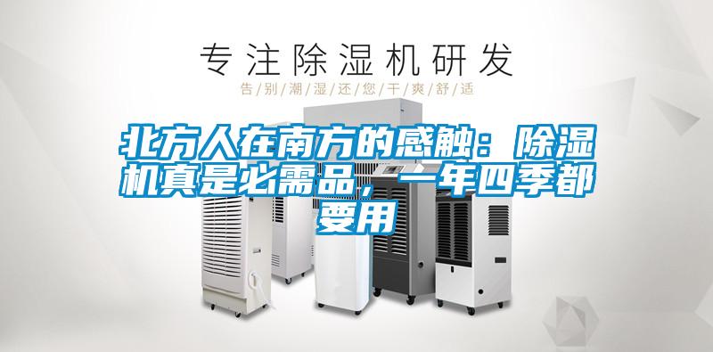北方人在南方的感觸：除濕機真是必需品，一年四季都要用