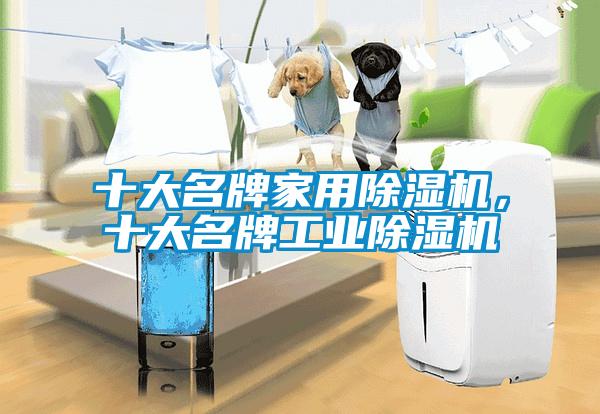 十大名牌家用除濕機(jī)，十大名牌工業(yè)除濕機(jī)