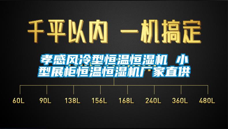 孝感風(fēng)冷型恒溫恒濕機(jī) 小型展柜恒溫恒濕機(jī)廠(chǎng)家直供