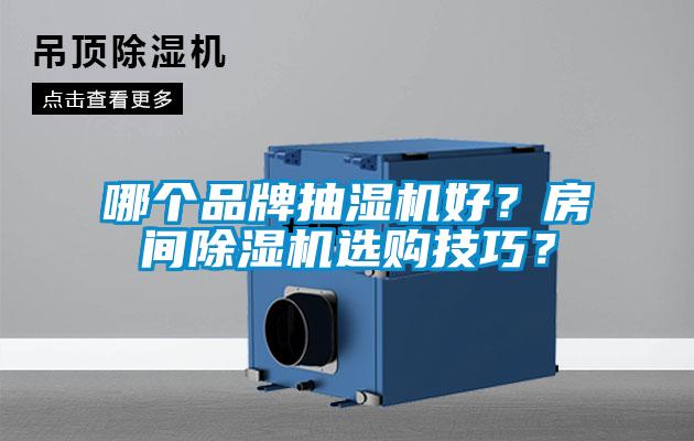 哪個(gè)品牌抽濕機(jī)好？房間除濕機(jī)選購(gòu)技巧？