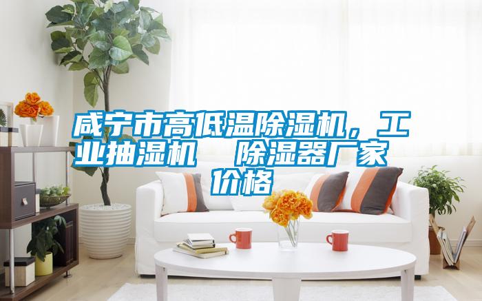 咸寧市高低溫除濕機(jī)，工業(yè)抽濕機(jī)  除濕器廠家 價格