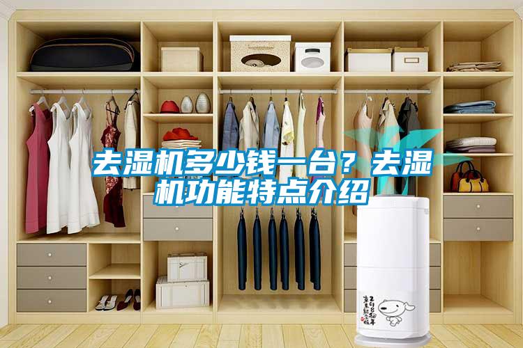 去濕機(jī)多少錢一臺(tái)？去濕機(jī)功能特點(diǎn)介紹
