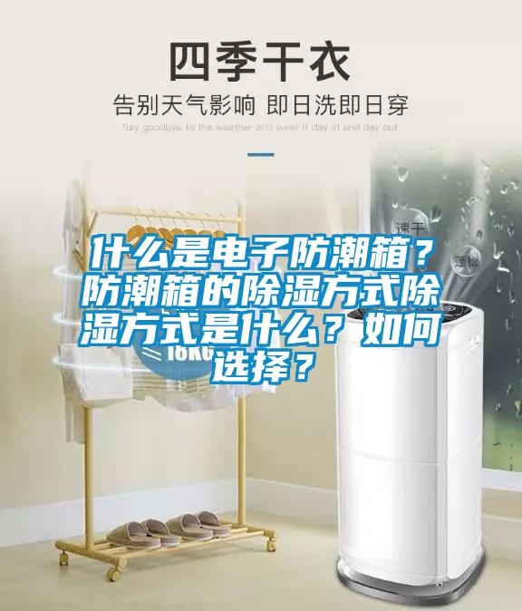 什么是電子防潮箱？防潮箱的除濕方式除濕方式是什么？如何選擇？