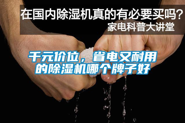 千元價位，省電又耐用的除濕機(jī)哪個牌子好