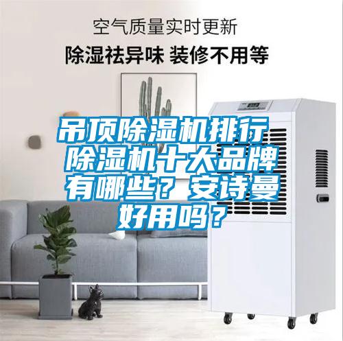 吊頂除濕機排行 除濕機十大品牌有哪些？安詩曼好用嗎？