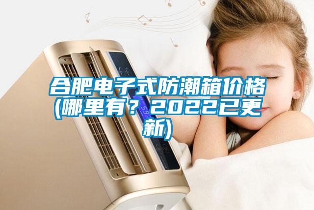合肥電子式防潮箱價格(哪里有？2022已更新)