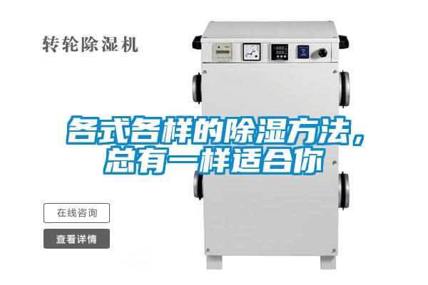 各式各樣的除濕方法，總有一樣適合你