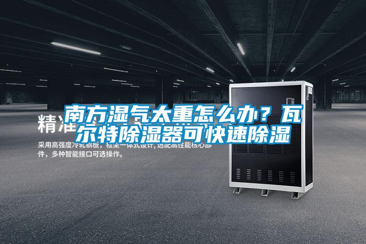 南方濕氣太重怎么辦？瓦爾特除濕器可快速除濕