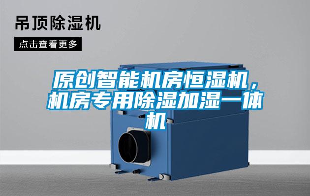 原創(chuàng)智能機房恒濕機，機房專用除濕加濕一體機